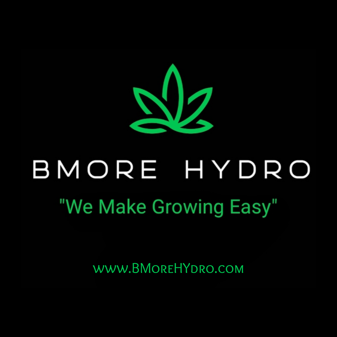 Why BMore Hydro is Baltimore’s #1 Home Grow Store