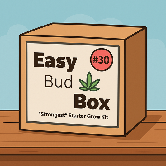 The Easy BudBox, BLACKBERRY MOONROCKS, #30+%