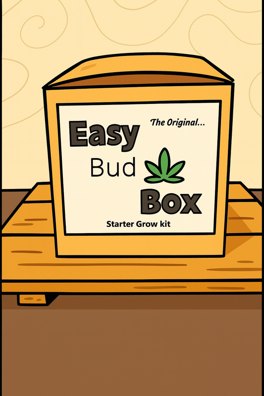 The Easy Bud Box, CINDERELLA 99, The Original